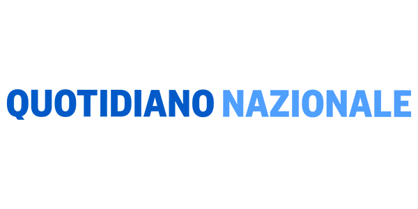 qn quotidiano nazionale logo